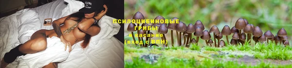 не бодяженный Липки